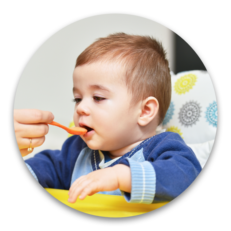 6_months_and_older@2x UPDATE